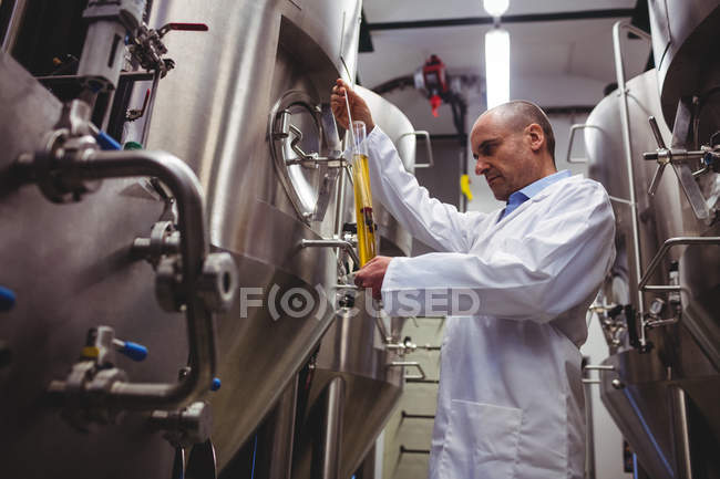 Vista ad angolo basso del produttore che esamina la birra — Foto stock