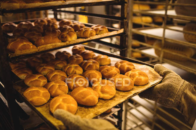 Mains de boulanger tenant un plateau de michetta — Photo de stock