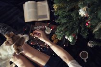 Vista aérea de la mujer perro de alimentación con un pedazo de comida en la decoración de Navidad - foto de stock