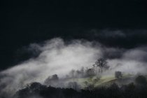 Пейзаж с туманной горой — стоковое фото