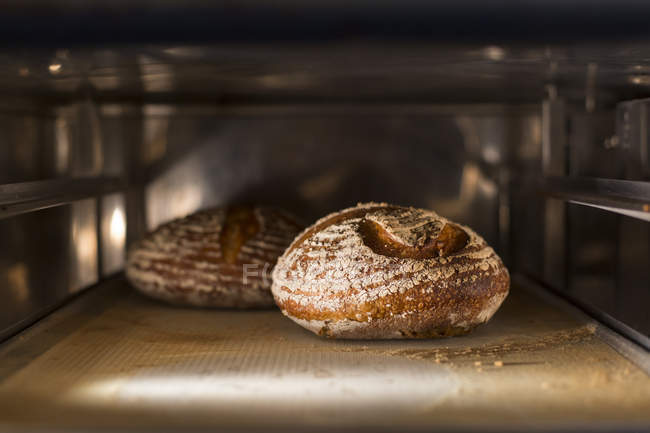 Pain maison dans la cuisine au four — Photo de stock