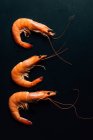 Top view of three shrimps placed in row on dark table — Stock Photo