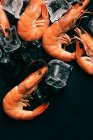 Vue surélevée des crevettes et des glaçons sur une surface sombre — Photo de stock