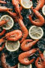 Vue du dessus des tranches de citron et pile de crevettes sur les glaçons — Photo de stock