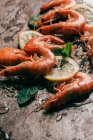 Vue rapprochée des crevettes, des tranches de citron et des feuilles de menthe avec glace fondante — Photo de stock