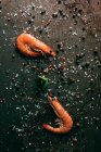 Vista superior de camarões com hortelã na mesa com sal e pimenta preta — Fotografia de Stock
