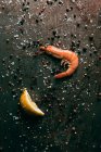 Vista superior de camarão e fatia de limão na superfície com sal e pimenta preta — Fotografia de Stock