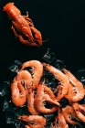 Vista superior de lagostins, camarões e cubos de gelo na mesa — Fotografia de Stock