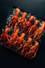 Vista superior da pilha de lagostins colocados em fila com cubos de gelo na assadeira — Fotografia de Stock