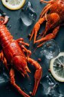 Closeup view of crayfishes, lemon slices, black pepper and ice cubes on table — Stock Photo