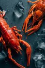 Closeup view of two crayfishes on tabletop with ice cubes — Stock Photo