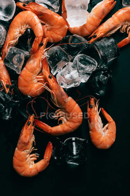 Vue de dessus des crevettes et des glaçons sur une surface sombre — Photo de stock