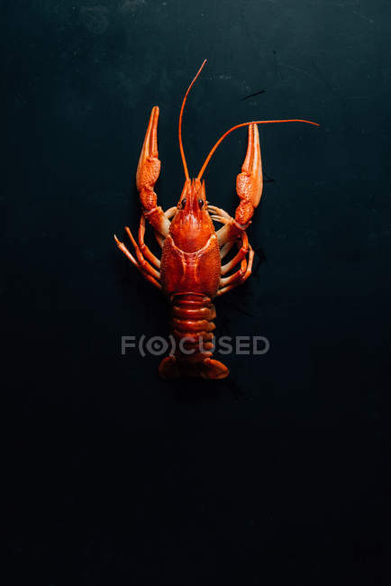Elevated view of crayfish on dark rustic tabletop — Stock Photo