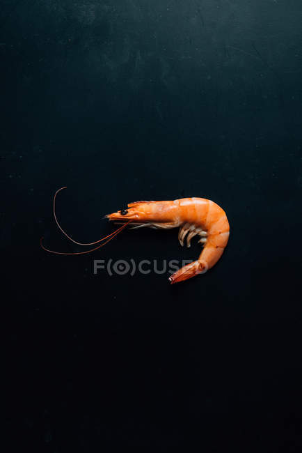 Elevated view of shrimp on dark rustic tabletop — Stock Photo