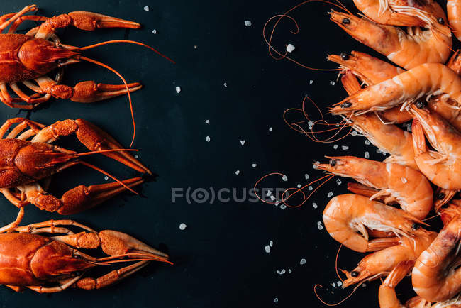 Vista superior de lagostins e camarões colocados em fileiras na mesa com sal — Fotografia de Stock