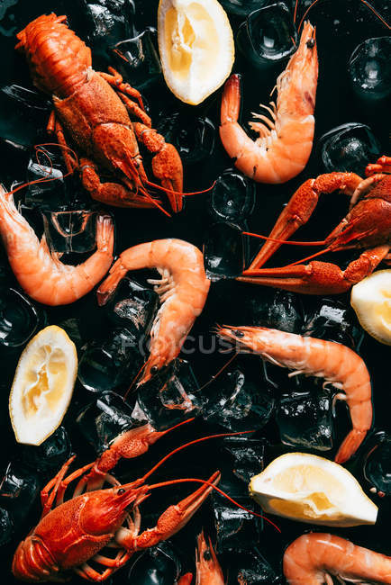 Vue de dessus des écrevisses et des crevettes avec des tranches de citron et des glaçons — Photo de stock