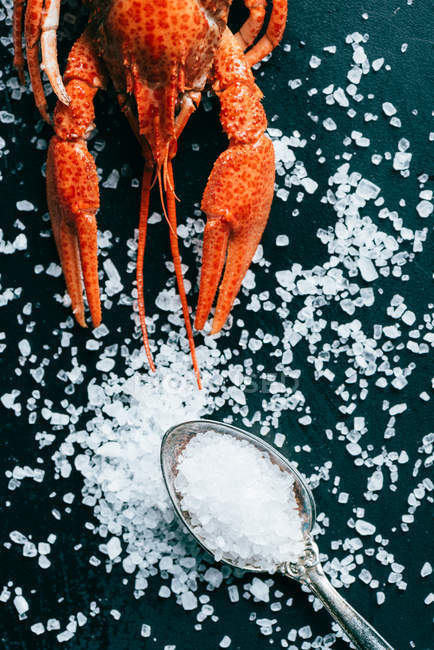 Tiro cortado de lagostim e colher em mesa salgada — Fotografia de Stock