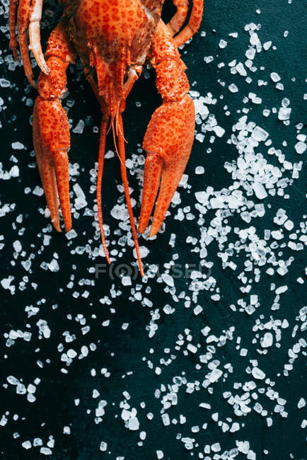 Cropped image of crayfish on salted dark table — Stock Photo