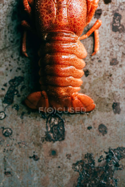 Partial view of crayfish on grungy wooden tabletop — Stock Photo