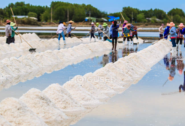 Campi salati in Thailandia — Foto stock