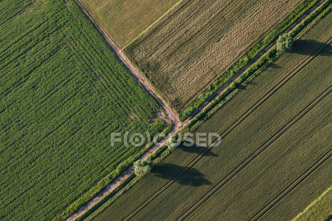 Vista aérea dos campos de colheita paisagem matinal — Fotografia de Stock