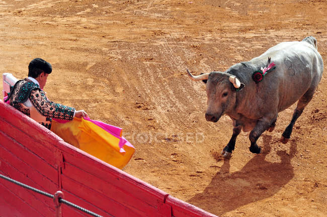 Bull-fight na Plaza de Toros Bull Ring Cidade do México — Fotografia de Stock