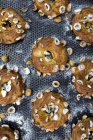 Торты с орехами и сахарной пудрой — стоковое фото