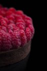 Шоколадний торт зі свіжою малиною — стокове фото