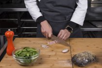 Vista ritagliata di chef maschio taglio cipolla e prosciutto — Foto stock