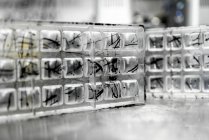 Stampi di caramelle di vetro con motivo astratto — Foto stock