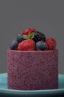 Cake with fresh berries on plate — Stock Photo