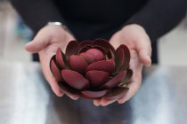 Close-up de mãos femininas segurando decoração de flores de chocolate — Fotografia de Stock