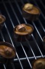 Schokoladenbonbons mit Fudge-Füllung und Nuss auf Gitter — Stockfoto