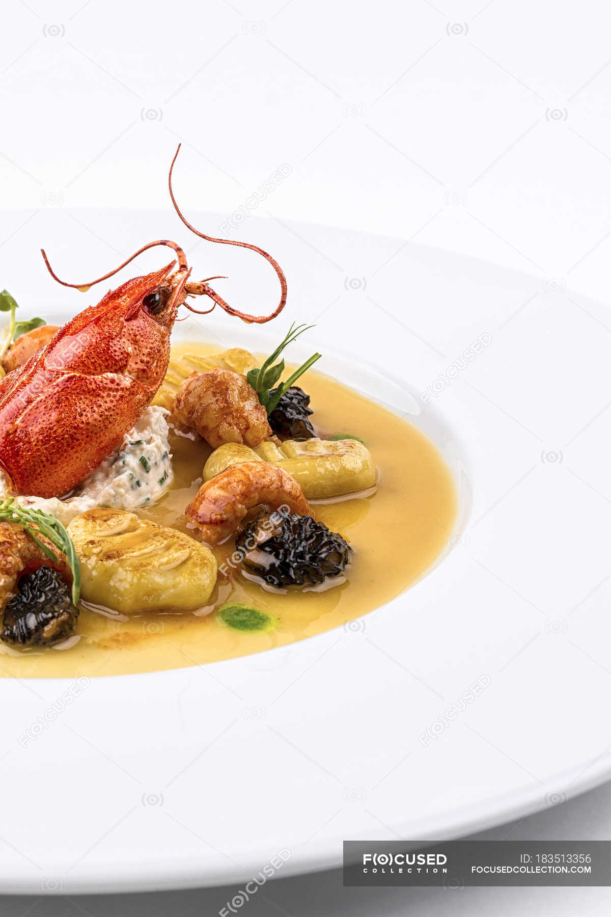 Lobster dish with gnocchi and morels mushrooms, closeup — gourmet
