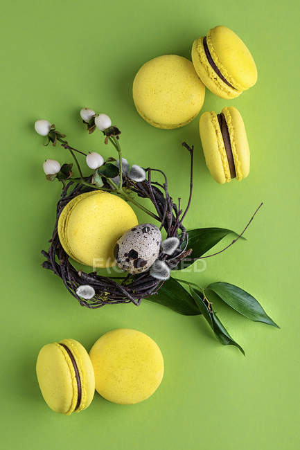 Yellow macarons decorated with spring willow wreath — Stock Photo