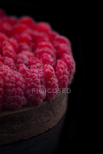 Bolo de chocolate com framboesas frescas — Fotografia de Stock