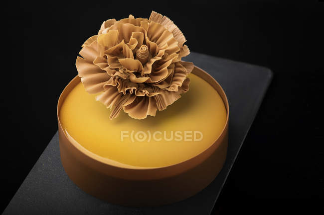 Шоколадный торт с бежевым цветочным декором — стоковое фото