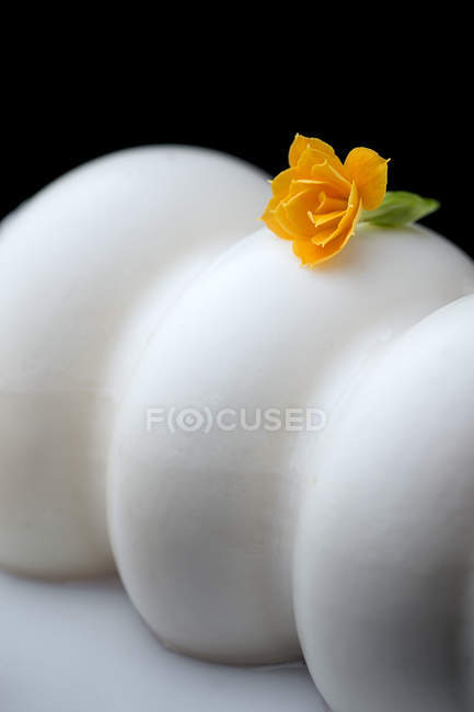 Nahaufnahme von gelben Blüten auf weißem, cremigem Dessert — Stockfoto