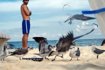 Homem assistindo gaivotas lutando na areia da praia em Playa del Carmen, México . — Fotografia de Stock