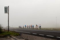 Group of cyclists on road beside misty field — Stock Photo