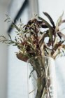 Close up view of dried plants in glass vase — Stock Photo