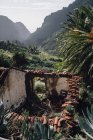 Vecchia casa abbandonata nel parco tropicale — Foto stock