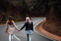 Вид ззаду на двох дівчат, що тримаються за руки і ходять по пишній сільській дорозі — стокове фото