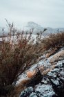 Vallée herbeuse couverte de neige, chaîne de montagnes sur fond — Photo de stock