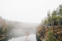 Landscape of foggy forest river with off-road vehicle parked at cliff — Stock Photo