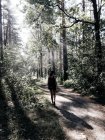 Visão traseira da menina andando no caminho da floresta no dia ensolarado — Fotografia de Stock