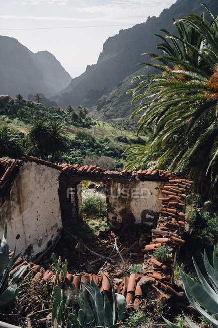 Old abandoned house in tropical park — Stock Photo