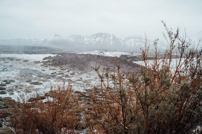 Vale gramado coberto de neve, cordilheira no fundo — Fotografia de Stock