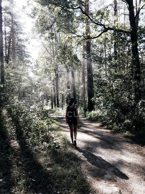 Вид сзади на девушку, идущую по лесной тропинке в солнечный день — стоковое фото