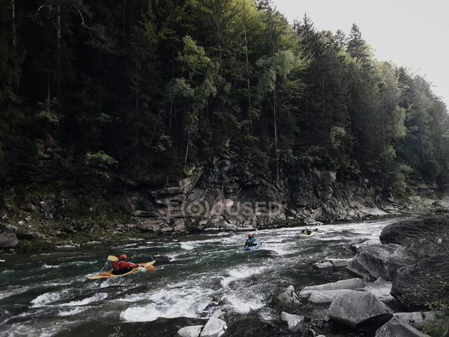 Caiaques nadando no rio da floresta — Fotografia de Stock